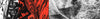 Filipe Toledo Signature Series