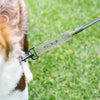 FCS Dog Leash